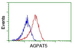 AGPAT5 Antibody (clone OTI1D12)