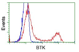 Monoclonal Mouse anti-Human BTK Antibody (clone OTI3D11, IHC, IF, WB)