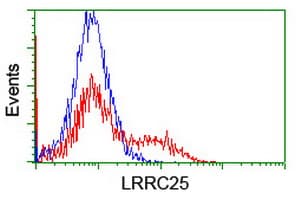 Monoclonal Mouse anti-Human LRRC25 Antibody (clone OTI3B6, WB)