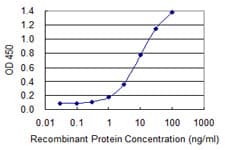 DLX6 Antibody (clone 2D7)