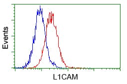 L1CAM Antibody (clone OTI2A6, Carrier-free)