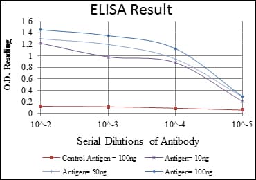 ITK / EMT Antibody (aa2-120, clone 5G6)