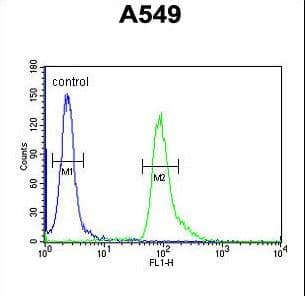 ABHD12 Antibody (aa40-66)