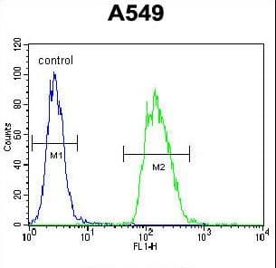 TRIM43 Antibody (aa136-164)
