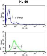 EXOSC8 Antibody (aa243-276)