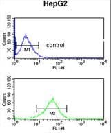 AGPAT3 Antibody (aa241-269)