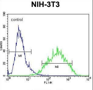 Polyclonal Rabbit anti-Human RAN Antibody (aa112-140, IHC, WB)