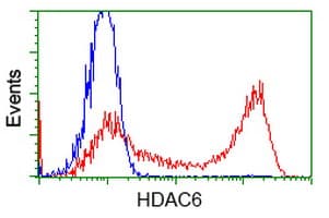 HDAC6 Antibody (clone OTI1D10)