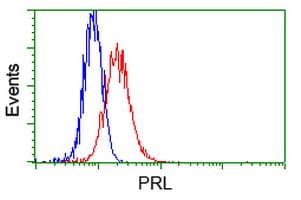 PRL / Prolactin Antibody (clone OTI11B11)