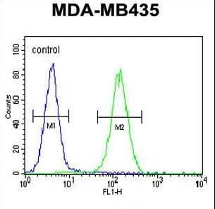 SMYD4 Antibody (aa541-568)