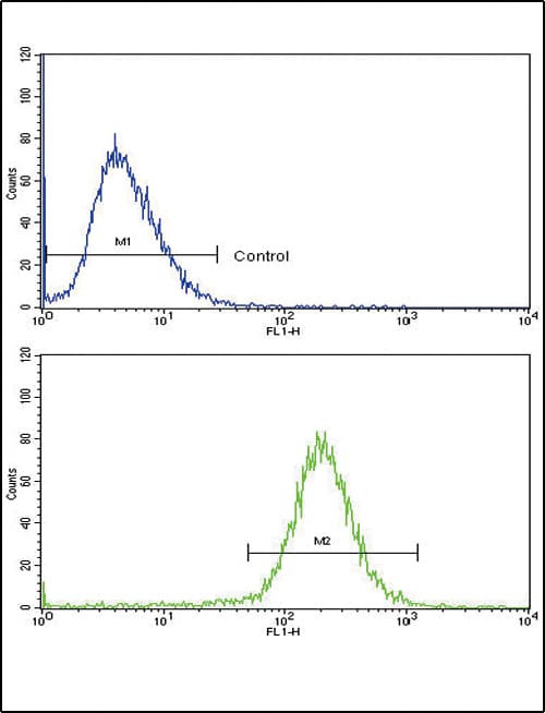 SCP2 / SCPX Antibody (aa358-385)
