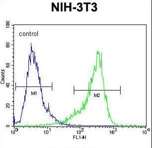 CYP26 / CYP26A1 Antibody (aa467-497)