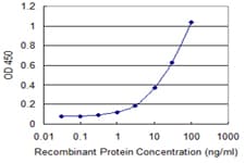 MBD1 Antibody (clone 2C7)