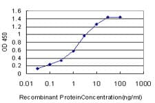 OX2R / Orexin Receptor 2 Antibody (clone 1E3)