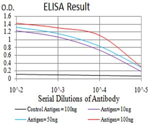 RBFOX3 / NEUN Antibody (aa1-140, clone 5A4B9)