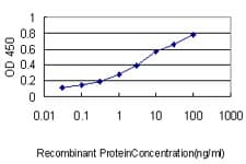 IHC-plus™ PCNA Antibody (clone 1G7)