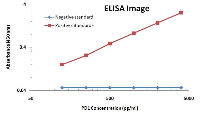 Monoclonal Mouse anti-Human PDCD1 / CD279 / PD-1 Antibody (clone OTI21F5, IF, WB)