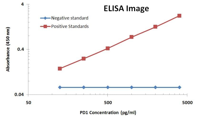 Monoclonal Mouse anti-Human PDCD1 / CD279 / PD-1 Antibody (clone OTI1B11, IF, WB)