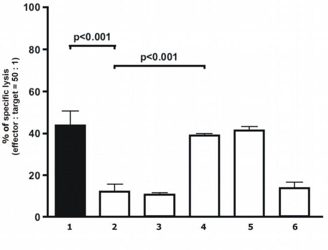 HLA-G Antibody (clone 87G)