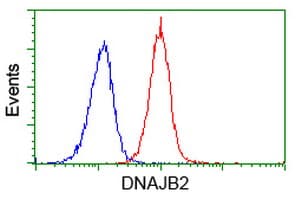 DNAJB2 Antibody (clone OTI4D12)