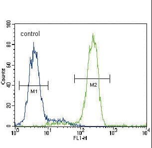 PPARG / PPAR Gamma Antibody (aa1-30)