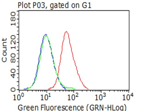 CDH1 / E Cadherin Antibody (clone UMAB184)