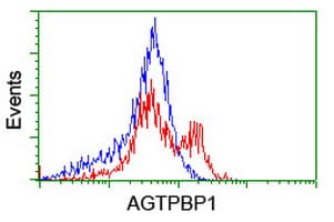 NNA1 / AGTPBP1 Antibody (clone OTI9B8)