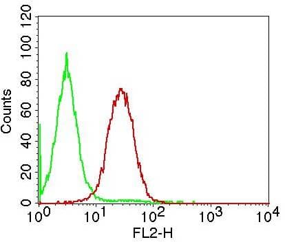 TERF2IP / RAP1 Antibody