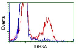 IDH3A Antibody (clone OTI2E9)