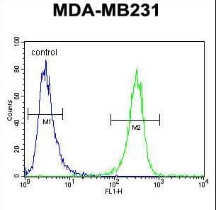 HFM1 Antibody (aa1293-1321)