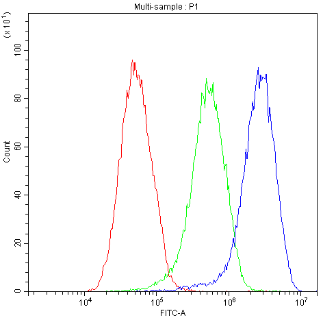 AHSG / Fetuin A Antibody (aa33-65)