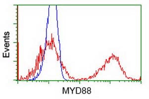 Monoclonal Mouse anti-Human MYD88 Antibody (clone OTI2B2, IHC, IF, WB)