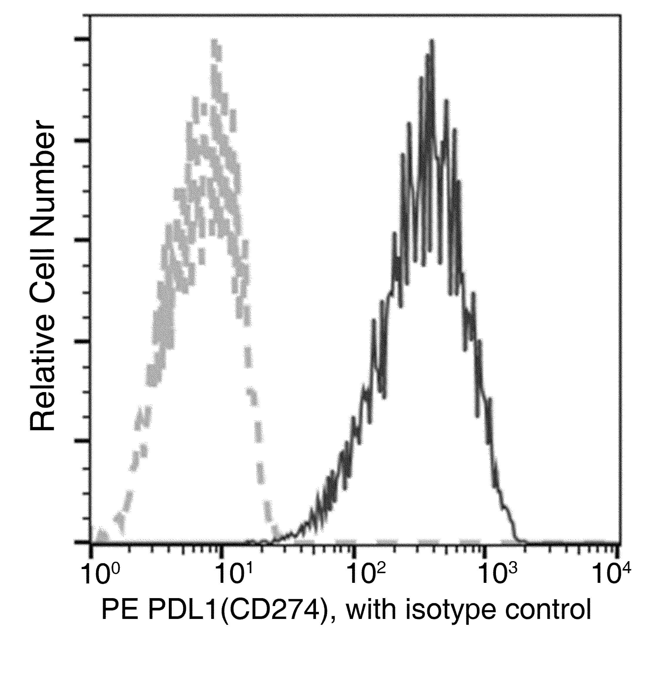 CD274 / B7-H1 / PD-L1 Antibody (clone 36, PE)