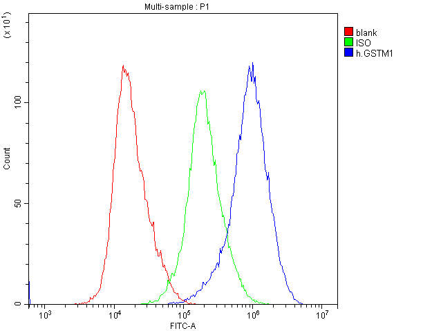 GSTM1 Antibody
