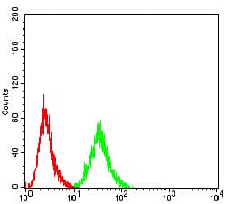 TFAP2A / AP-2 Antibody (clone 2H9B5)