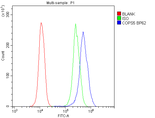 COPS5 / JAB1 Antibody (aa8-334)