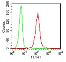TLR9 Antibody (FITC)