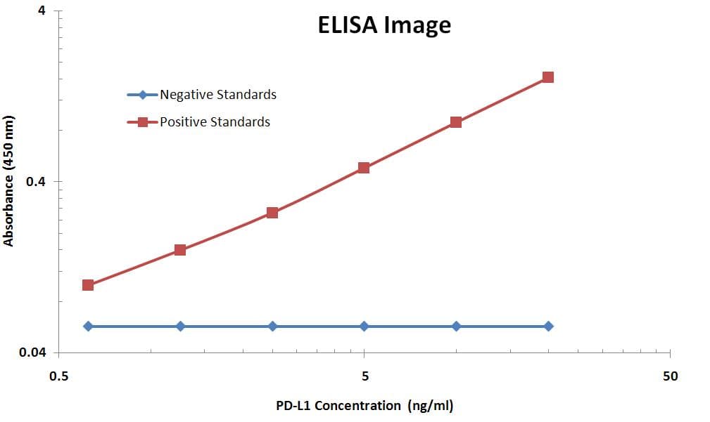 CD274 / B7-H1 / PD-L1 Antibody (aa19-239, clone OTI9E12)
