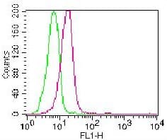 CASP3 / Caspase 3 Antibody (FITC)