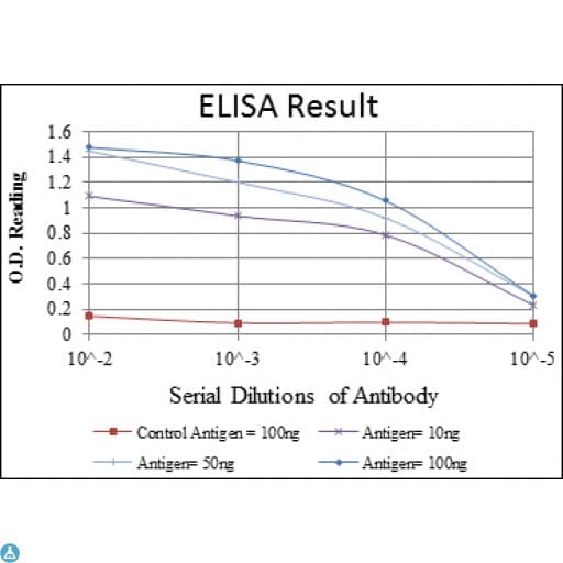 PSMB8 / LMP7 Antibody