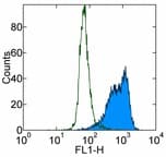 PathPlus™ Monoclonal Mouse anti-Human PCNA Antibody (clone PC10 (a.k.a. 3F81), IHC, WB)