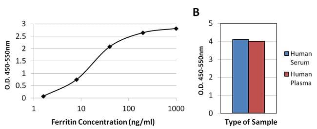 Ferritin Antibody (clone 101)