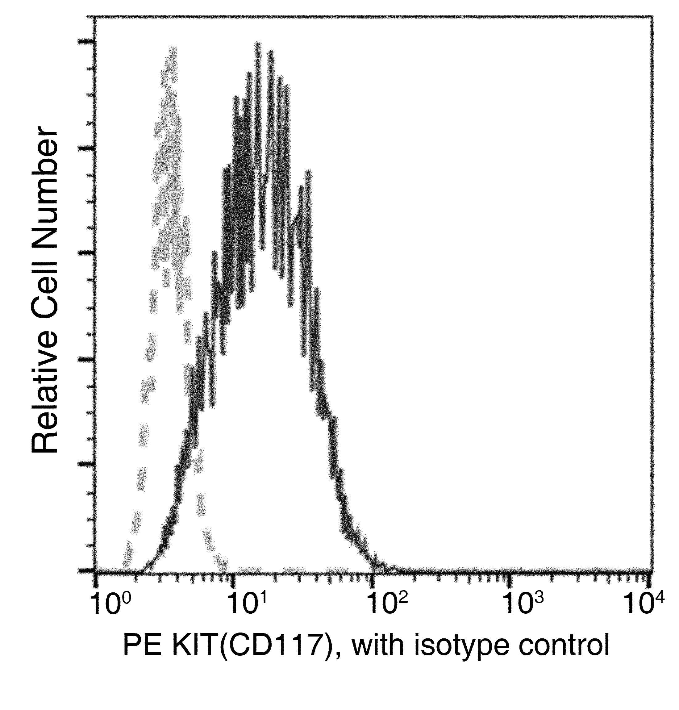 Monoclonal Mouse anti-Human c-Kit / CD117 Antibody (clone 34, PE)