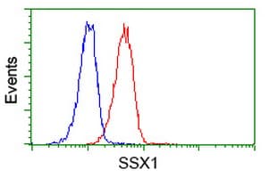 SSX1 Antibody (clone OTI2E9, Carrier-free)