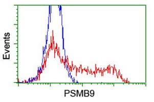IHC-plus™ PSMB9 Antibody (clone 1C4)