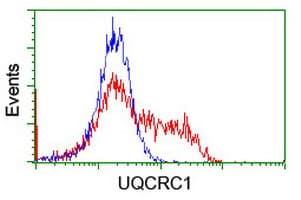 IHC-plus™ UQCRC1 Antibody (clone 1G6)