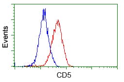 CD5 Antibody (clone OTI7A7)