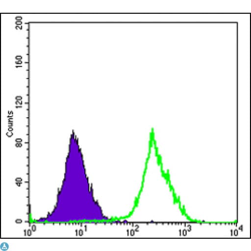 FUK Antibody