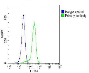 IHC-plus™ CYLD Antibody (clone 1667CT857.3.6.1)