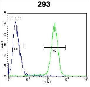 SARAF / TMEM66 Antibody (aa33-62)